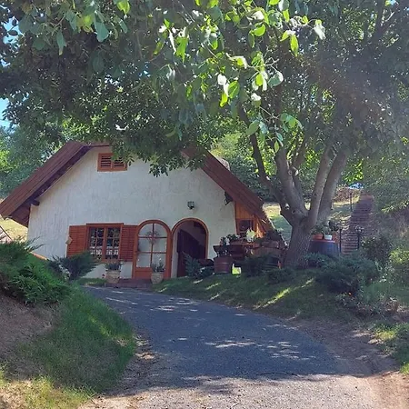 Mit Weinkeller - Nádas Pince Villa Szolosgyorok
