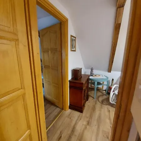 Nádas Pince