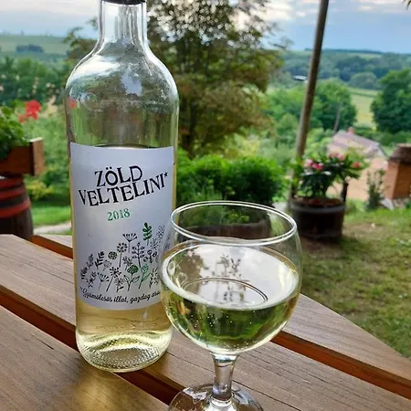 Mit Weinkeller - Nádas Pince Villa