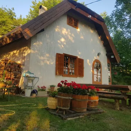 Nádas Pince Villa *