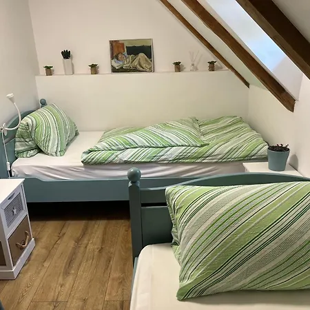 Villa Mit Weinkeller - Nádas Pince Szolosgyorok