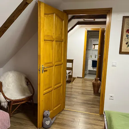 Nádas Pince Szolosgyorok