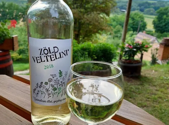 Mit Weinkeller - Nádas Pince Villa